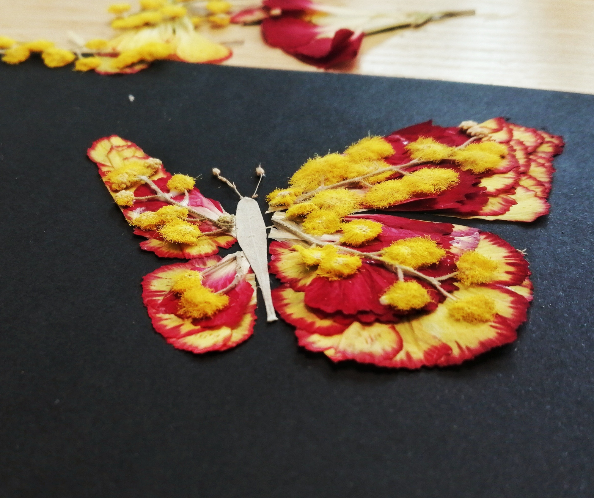 Papillon Fleuri
