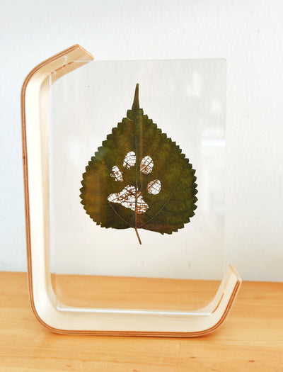 Empreinte incrustée dans Feuille naturelle